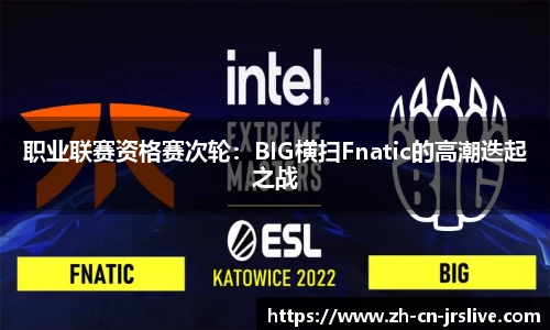 职业联赛资格赛次轮：BIG横扫Fnatic的高潮迭起之战